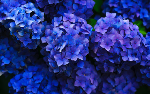 1701402 (a): :2560x1600